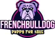 frenchbulldogpuppyforsale